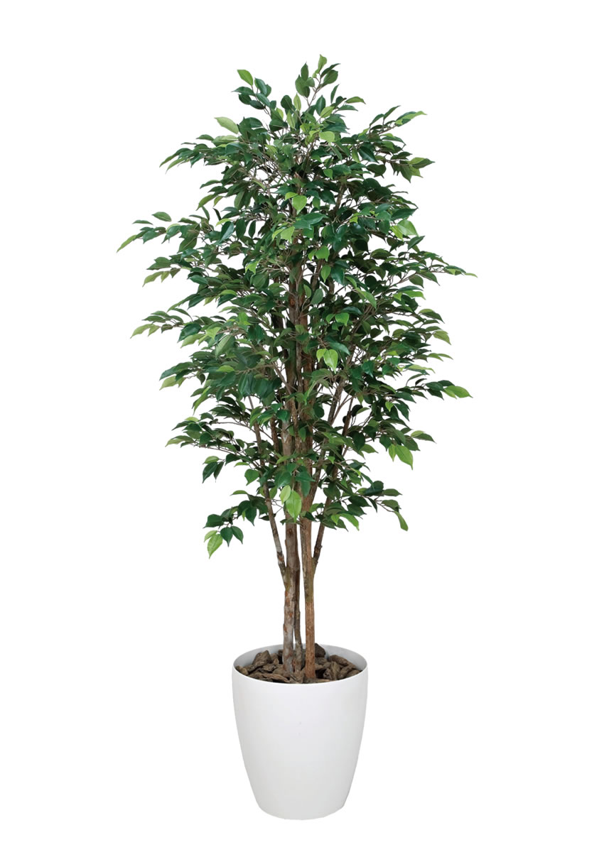 光触媒 光の楽園 ロイヤルベンジャミン 1.6m【インテリア フェイク