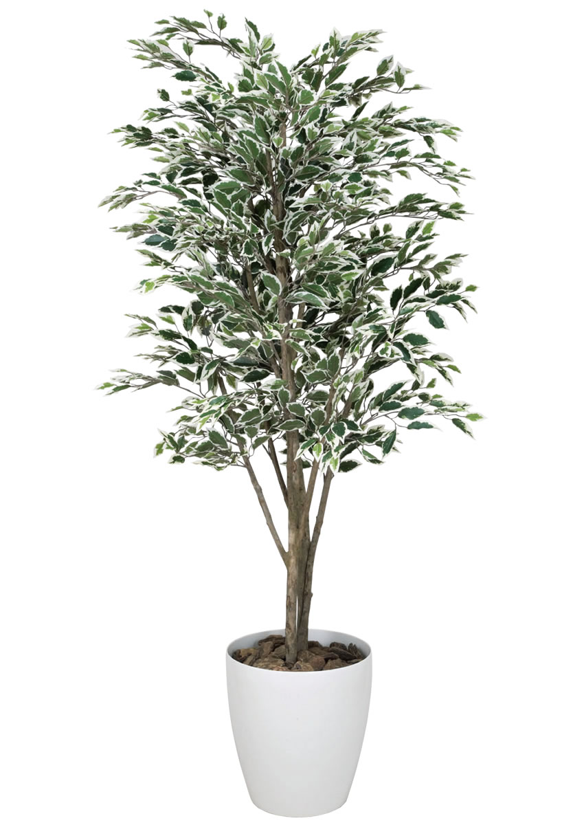 光触媒 光の楽園 ベンジャミンツリー斑入リ 1.8m【インテリア フェイクグリーン 人工観葉植物】(154K520)