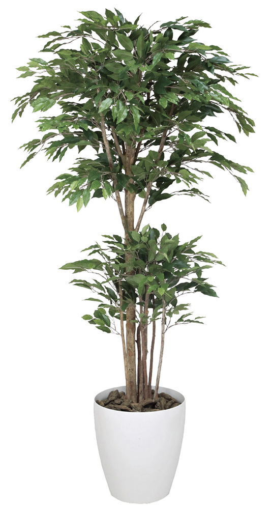 光触媒 光の楽園 トロピカルベンジャミン 高さ 1 6m インテリアグリーン 大型 人工観葉植物 161g450 造花と観葉植物の専門店 光 の楽園