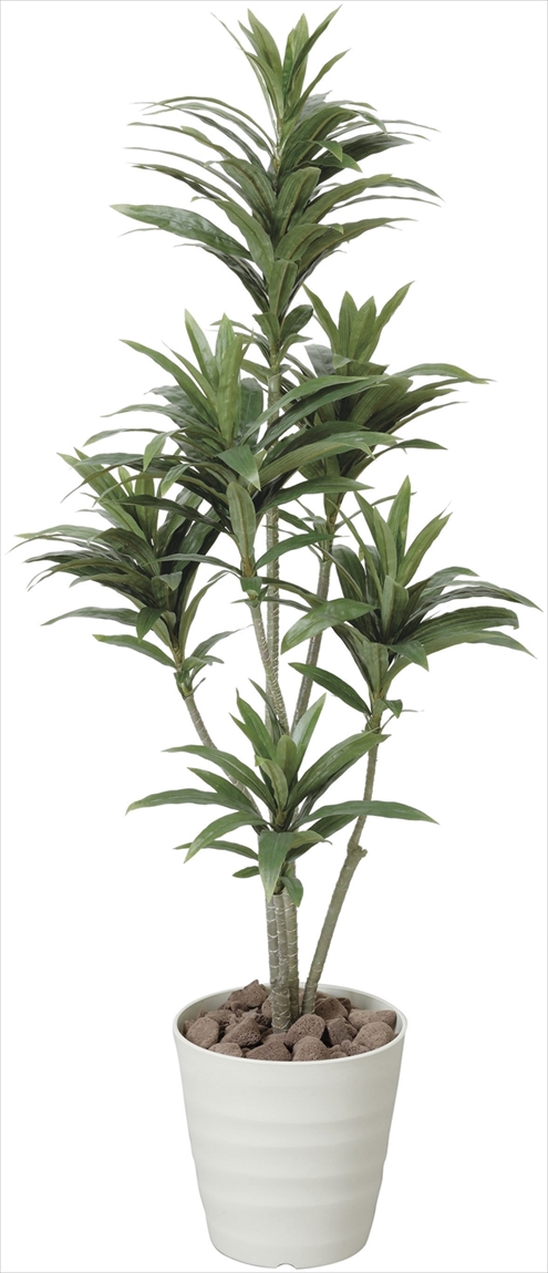 光触媒 光の楽園ドラセナコンパクタ 1 25m インテリアグリーン 人工観葉植物 185c180 造花と観葉植物の専門店 光の楽園