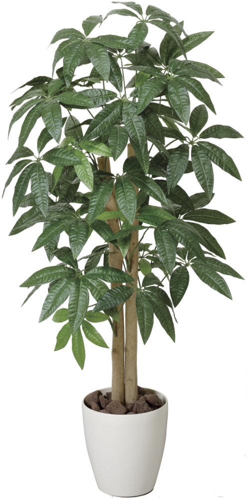 光触媒 光の楽園パキラ 1 0m インテリアグリーン 人工観葉植物 199a150 造花と観葉植物の専門店 光の楽園