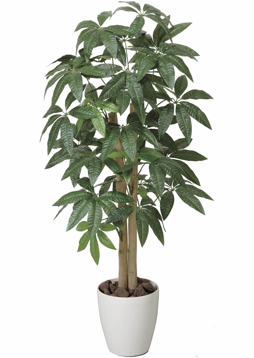光触媒 光の楽園 パキラ 1.0m【インテリア フェイクグリーン 人工観葉植物】(199P165)（※ラッピング不可）