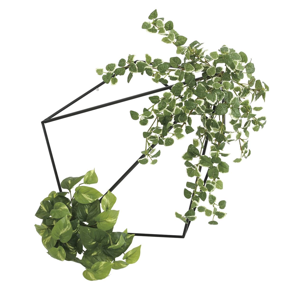 光触媒 光の楽園 壁面緑化プミラ&ポトス 【インテリアグリーン 人工