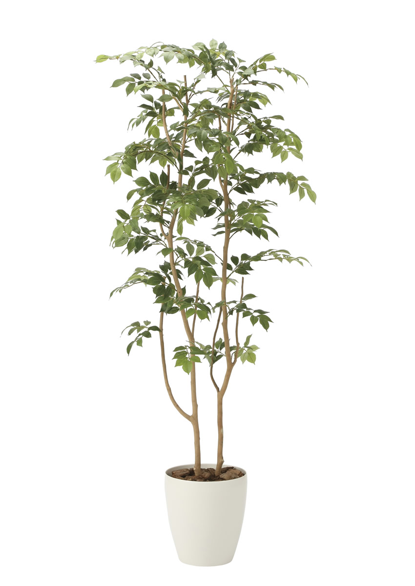 光触媒　人工観葉植物　フェイクグリーン　マウンテンアッシュ1.6m 光触媒 光の楽園 マウンテンアッシュ1.6m【インテリア フェイク