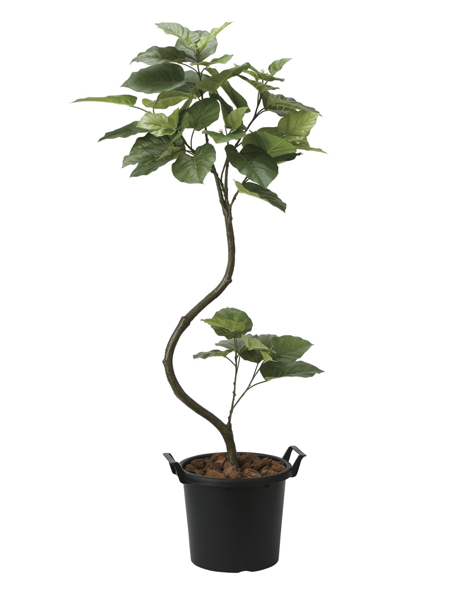 光触媒　人工観葉植物　フェイクグリーン　インテリアウンベラータ1.65 光触媒 人工観葉植物 ウンベラータ【光の楽園】