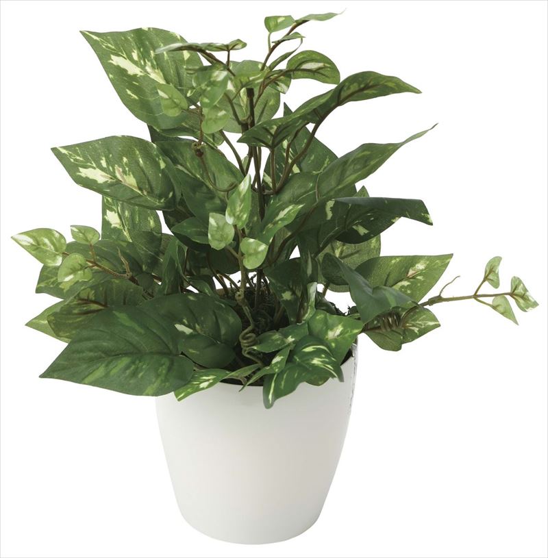 光触媒 光の楽園 ポトス インテリアグリーン 人工観葉植物 40a30 造花と観葉植物の専門店 光の楽園