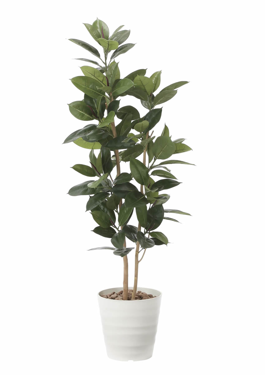 光触媒 光の楽園 ゴムの木1.6m【インテリア フェイクグリーン 人工観葉植物】(2121P375)（※ラッピング不可）