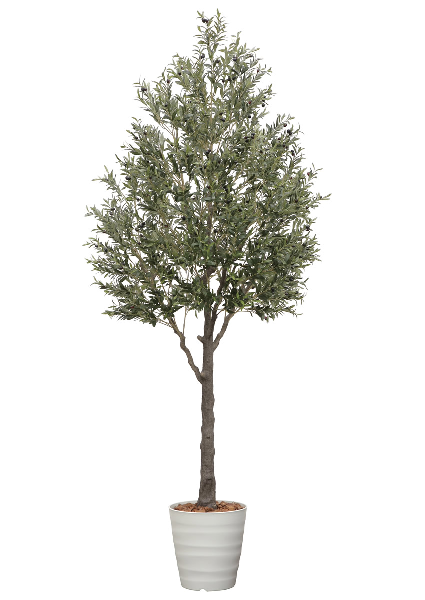 光触媒 光の楽園 オリーブ3.2m(組立式)【インテリア フェイクグリーン 人工観葉植物】(2124A3500)