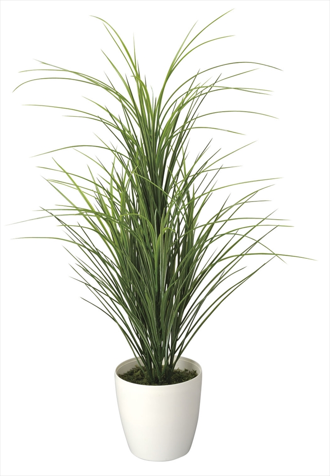 光触媒 光の楽園グラスツリー インテリアグリーン 人工観葉植物 214c100 造花と観葉植物の専門店 光の楽園