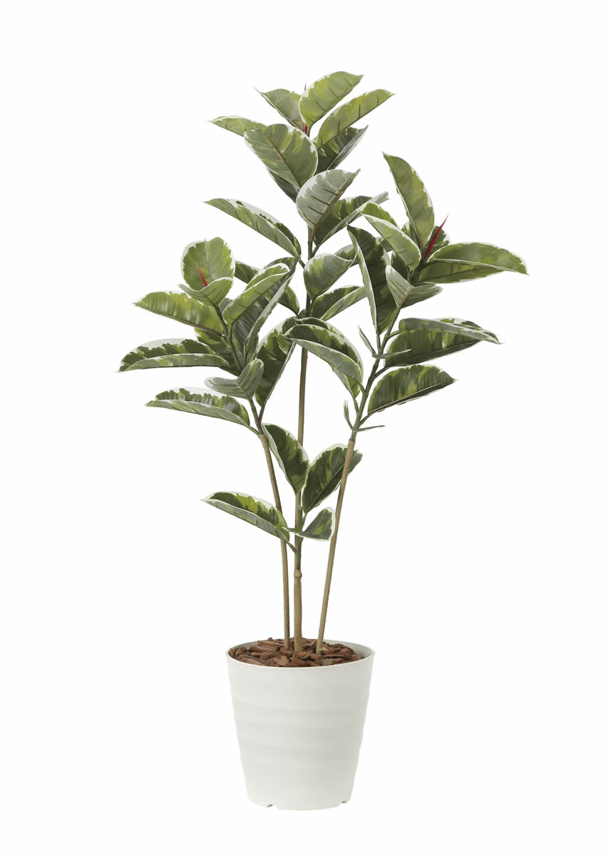 光触媒 光の楽園 アルテシマ1.2m【インテリア フェイクグリーン 人工観葉植物】(2221R210)（※ラッピング不可）