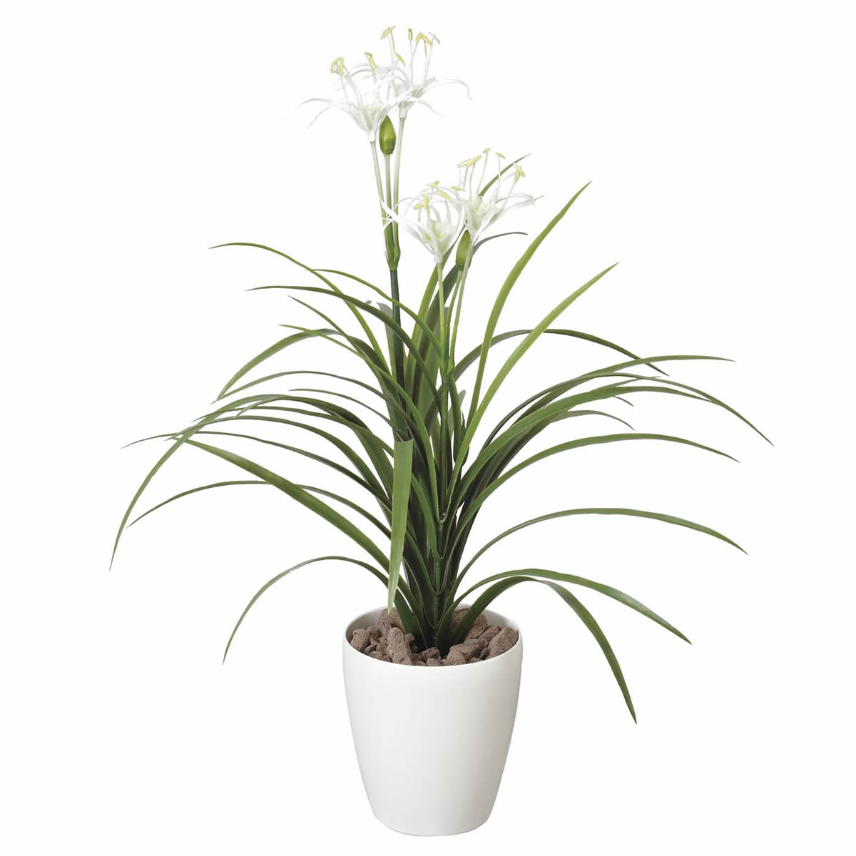 光触媒 光の楽園 ユッカ花付（ポリ製）【インテリア フェイクグリーン 人工観葉植物】(222SH50)