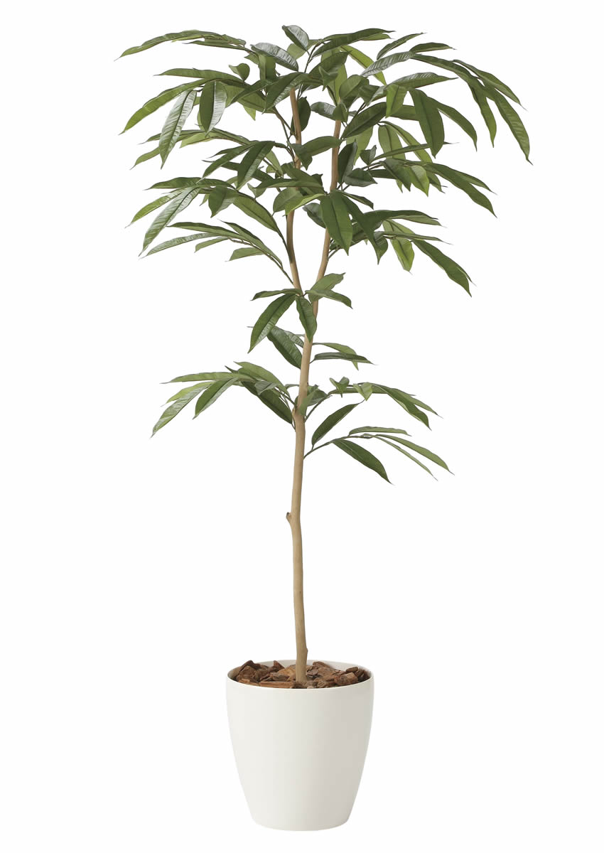 光触媒　人工観葉植物　フェイクグリーン　アムステルラバーキング1.8 光触媒 光の楽園 アムステルラバーキング 1.8m【インテリア フェイク