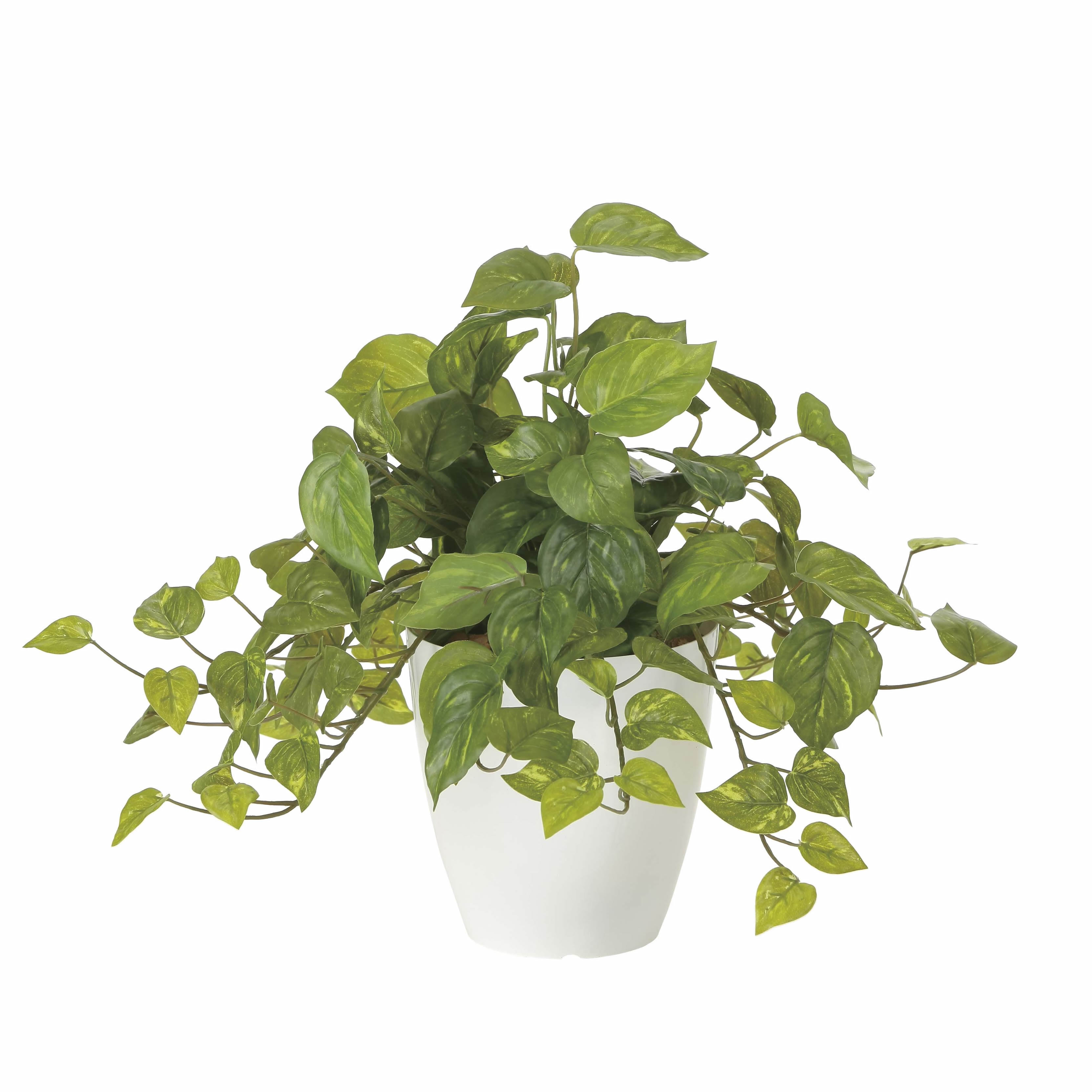 光触媒 光の楽園 フレッシュポトス【インテリアグリーン 人工観葉植物】(2252A50)