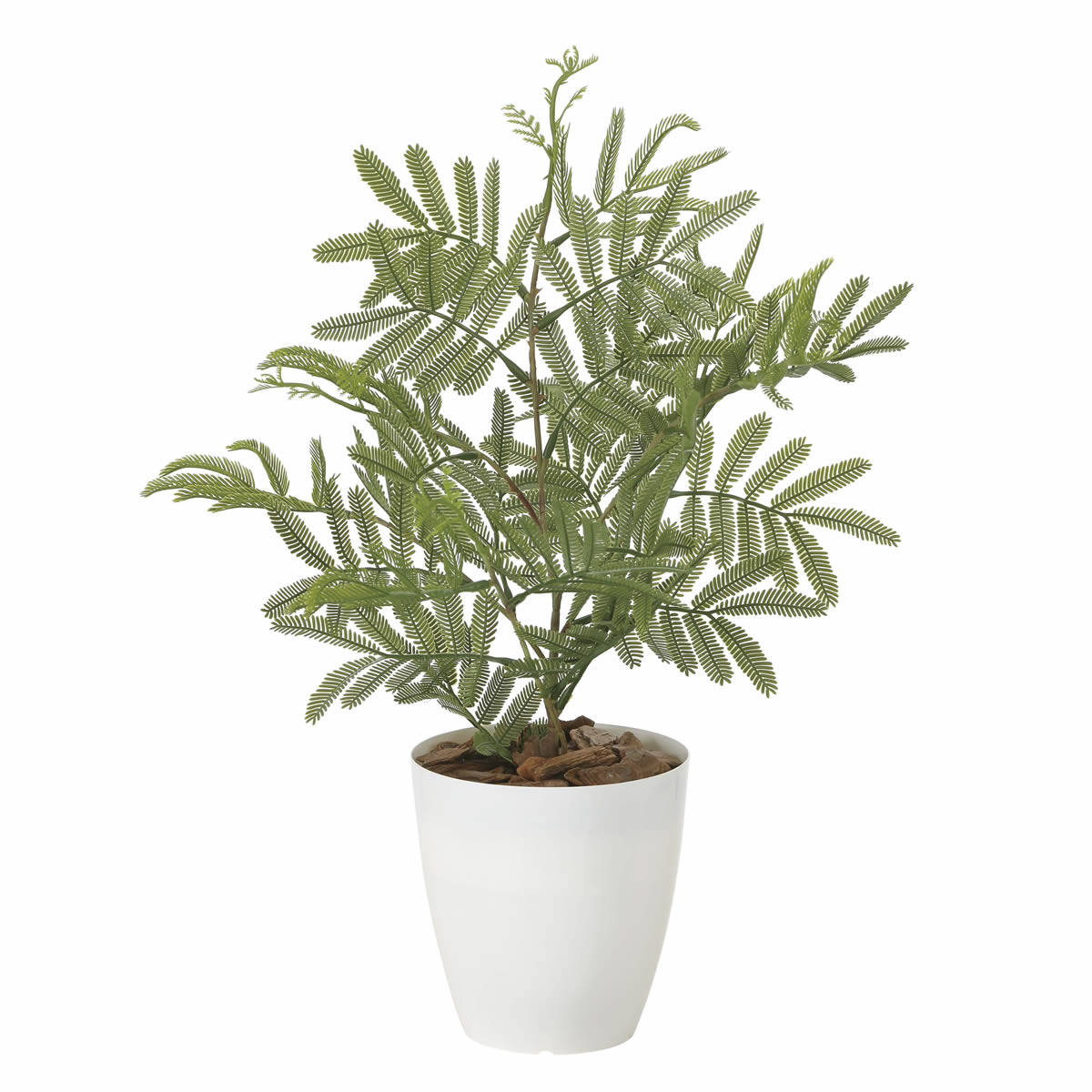 光触媒 光の楽園 ねむの木（ポリ製）【インテリアグリーン 人工観葉植物】(2254A50)