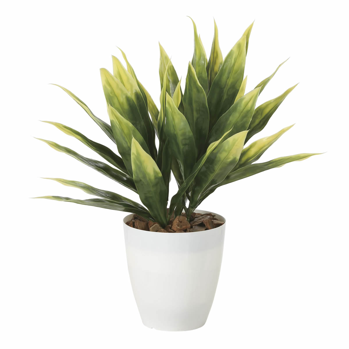 光触媒 光の楽園 ドラセナ（ポリ製）【インテリアグリーン 人工観葉植物】(2267R35)