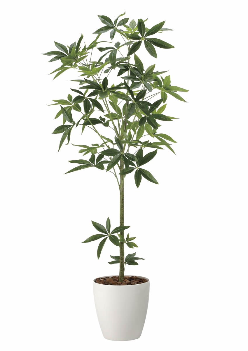 光触媒 光の楽園 フレッシュパキラ1.6m【インテリア フェイクグリーン 人工観葉植物】(2322R430)（※ラッピング不可）