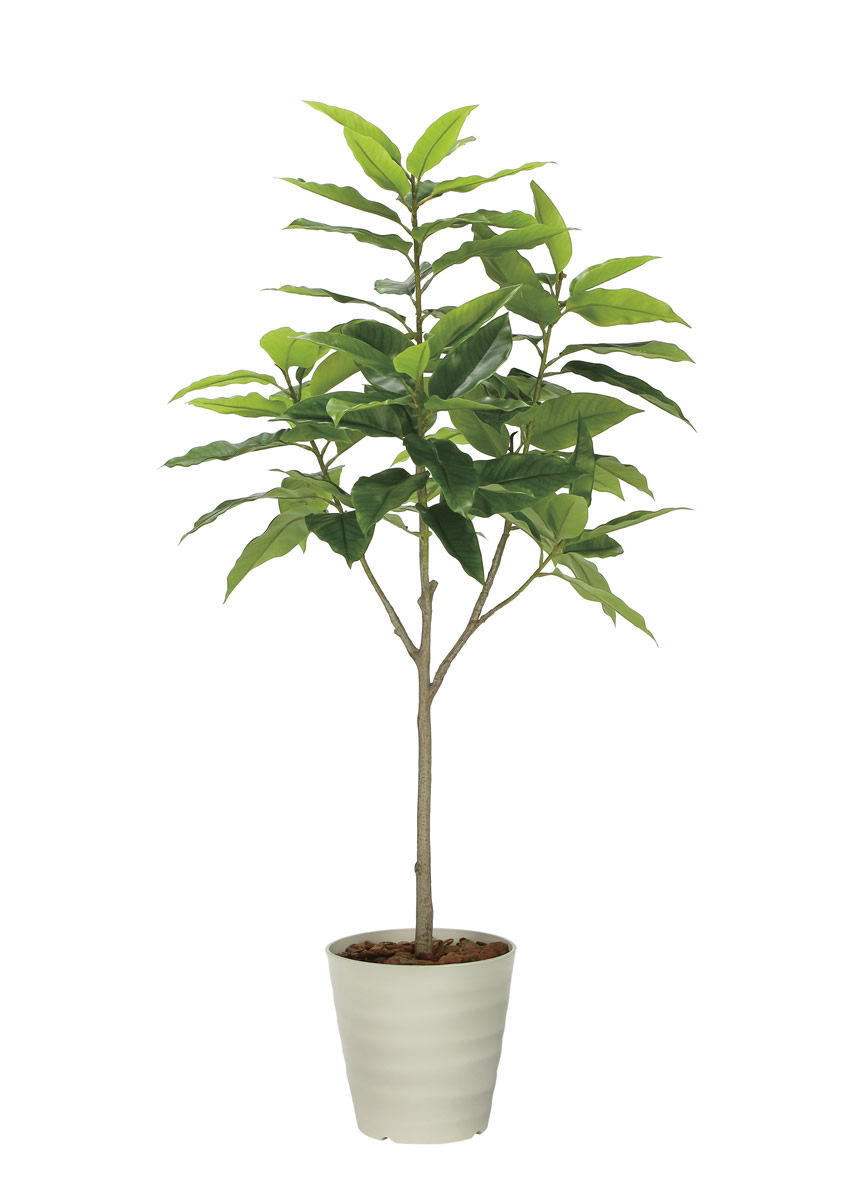 光触媒 光の楽園 フレッシュユラニア1.6m【インテリア フェイクグリーン 人工観葉植物】(2325A400)