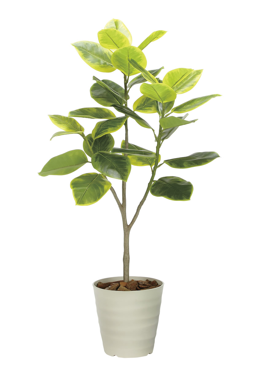 光触媒 光の楽園 フレッシュアルテシマ1.65m【インテリア フェイク