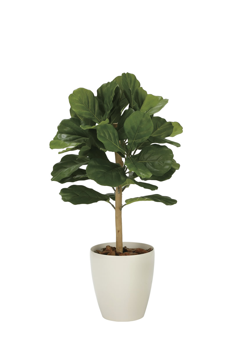 光触媒 光の楽園 DXカシワバゴム1.0m【インテリア フェイクグリーン 人工観葉植物】(2340A200)