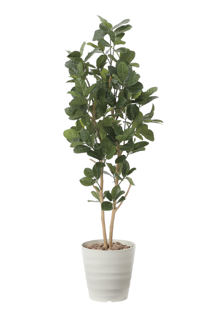 光触媒　人工観葉植物　ウォールグリーン　フェイクグリーン　パンの木125ptw 光触媒 人工観葉植物 ウォールグリーン フェイクグリーン