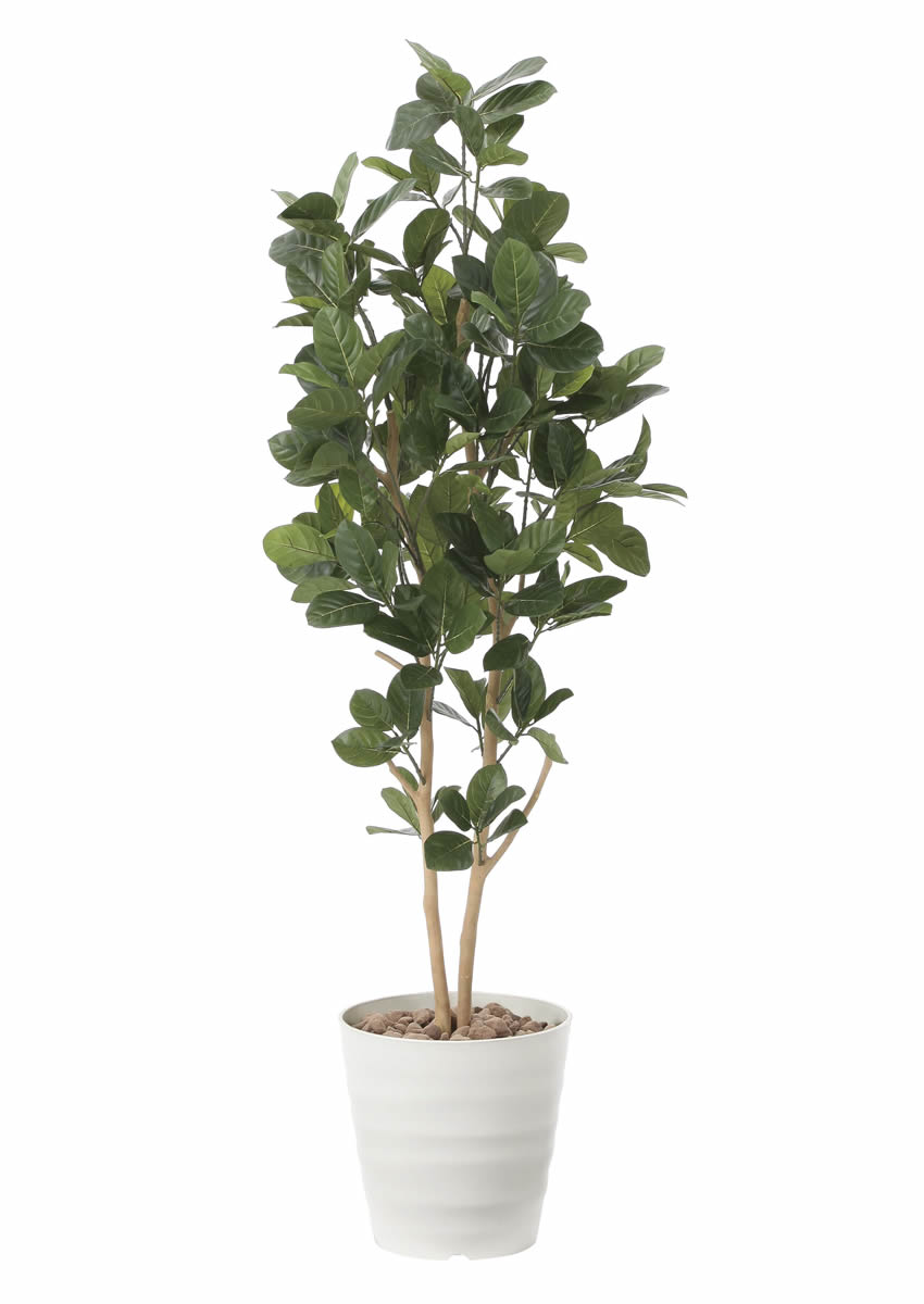 光触媒 光の楽園 パンの木1.6m【インテリア フェイクグリーン 人工観葉植物】(2391P400)（※ラッピング不可）