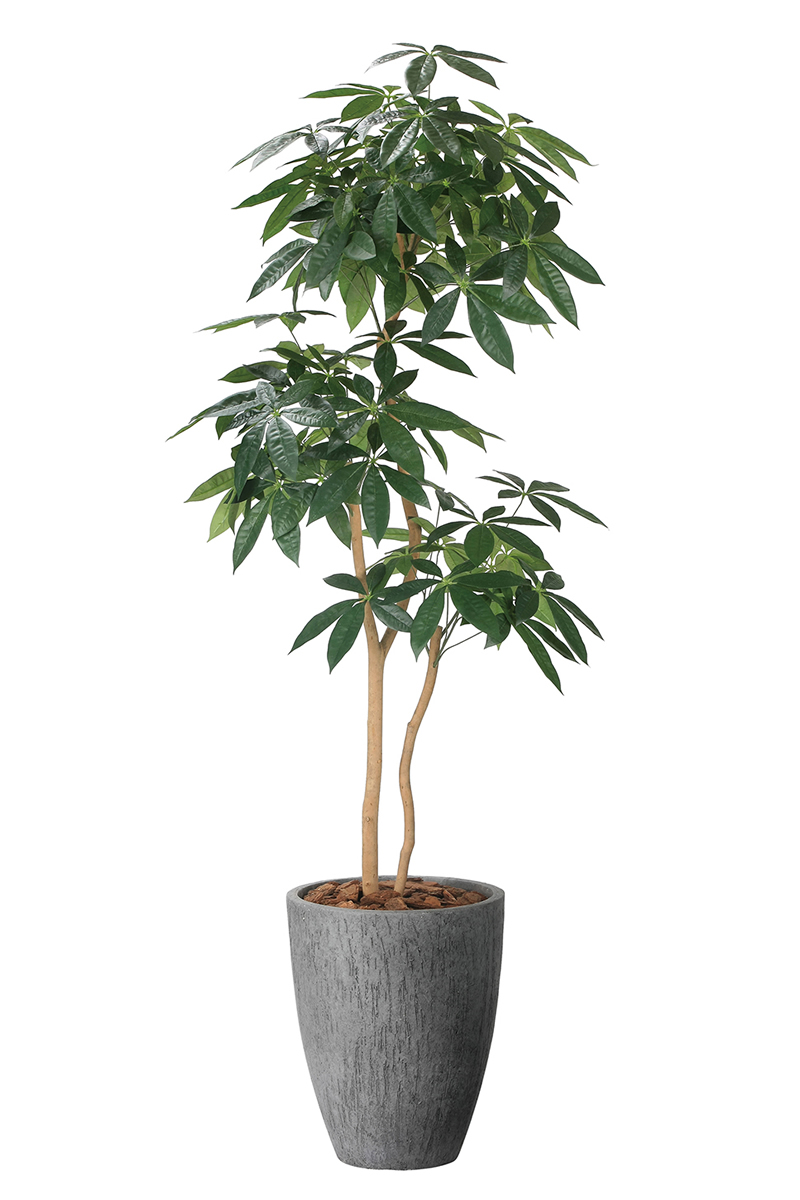 光触媒 人工観葉植物 ウォールグリーン フェイクグリーン パキラ140j