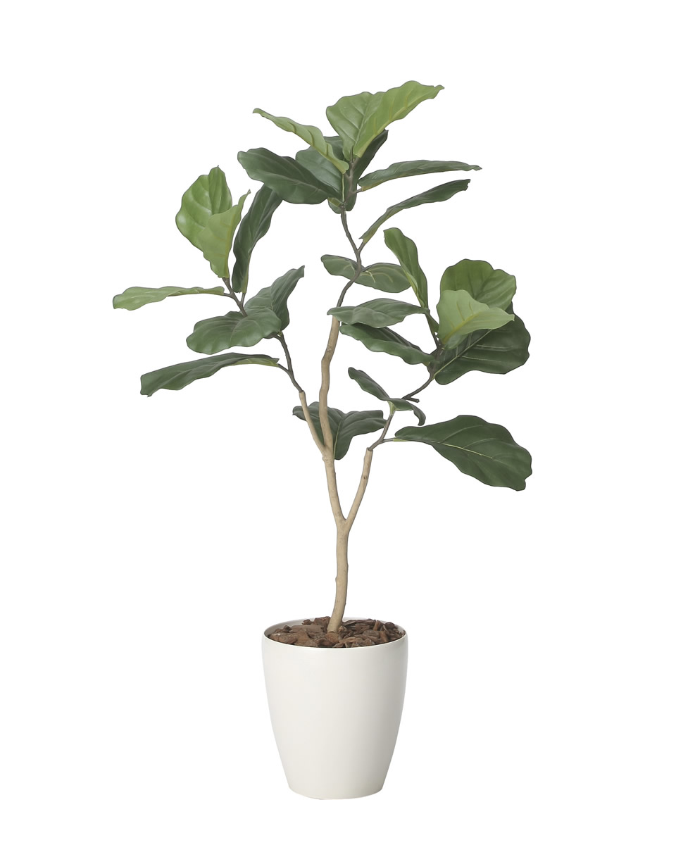 光触媒 光の楽園 デザインカシワバゴム1.1(ポリ製)【インテリア フェイクグリーン 人工観葉植物】(2414A160)【ラッピング不可】