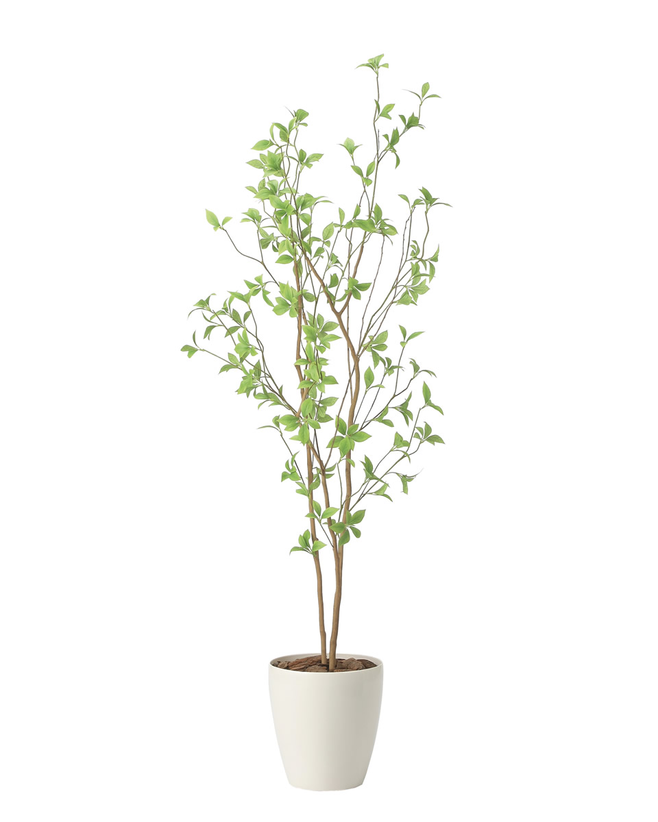 光触媒 光の楽園 クロモジ1.6【インテリア フェイクグリーン 人工観葉植物】(2415A260)【ラッピング不可】