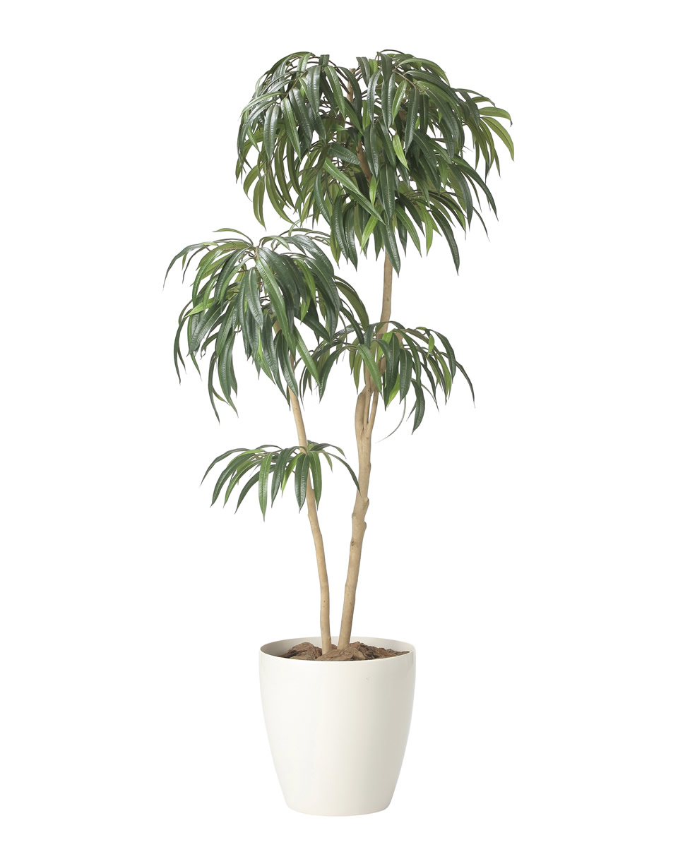 光触媒 光の楽園 DXショウナンゴム 1.8m【インテリア フェイクグリーン 人工観葉植物】(2417A500)【ラッピング不可】