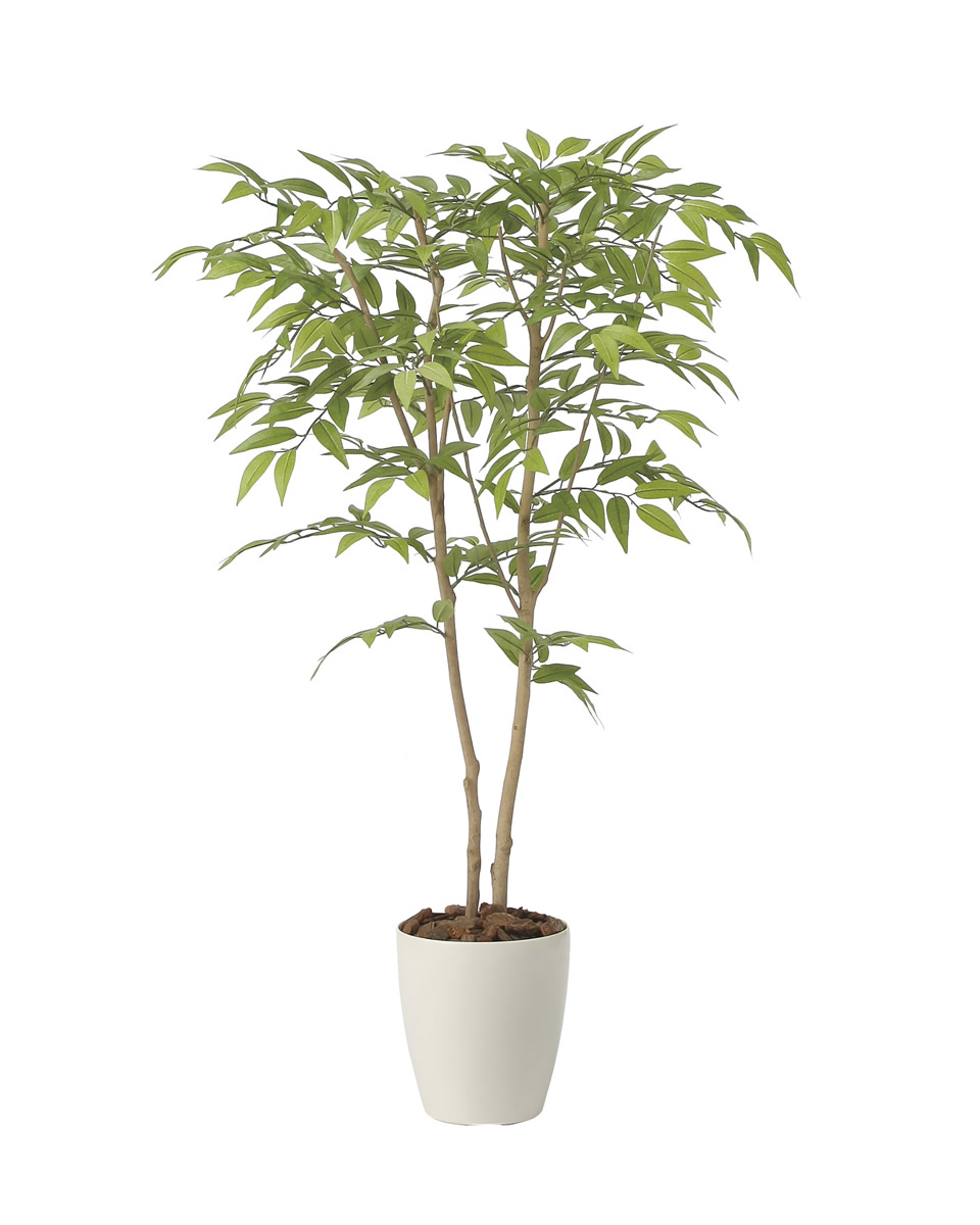 光触媒 光の楽園 ソヨゴ1.0【インテリア フェイクグリーン 人工観葉植物】(2418A190)【ラッピング不可】