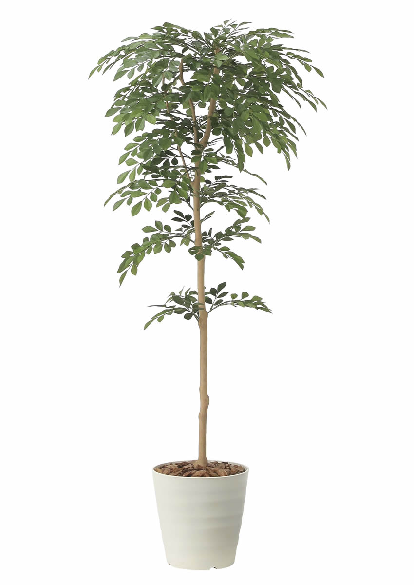 光触媒 光の楽園 トネリコ1.3m【インテリア フェイクグリーン 人工観葉植物】(2421P290)（※ラッピング不可）