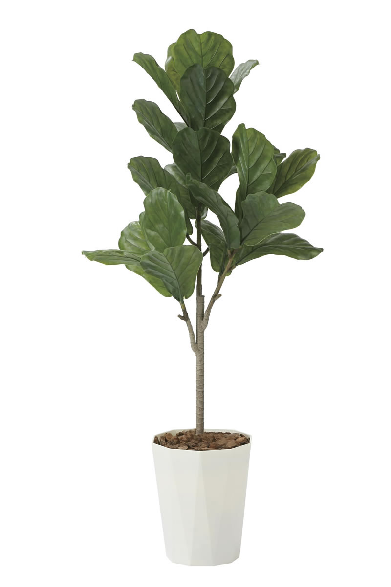 光触媒 光の楽園 カシワバゴム1.25(ポリ製)【インテリア フェイクグリーン 人工観葉植物】(2427A240)【ラッピング不可】