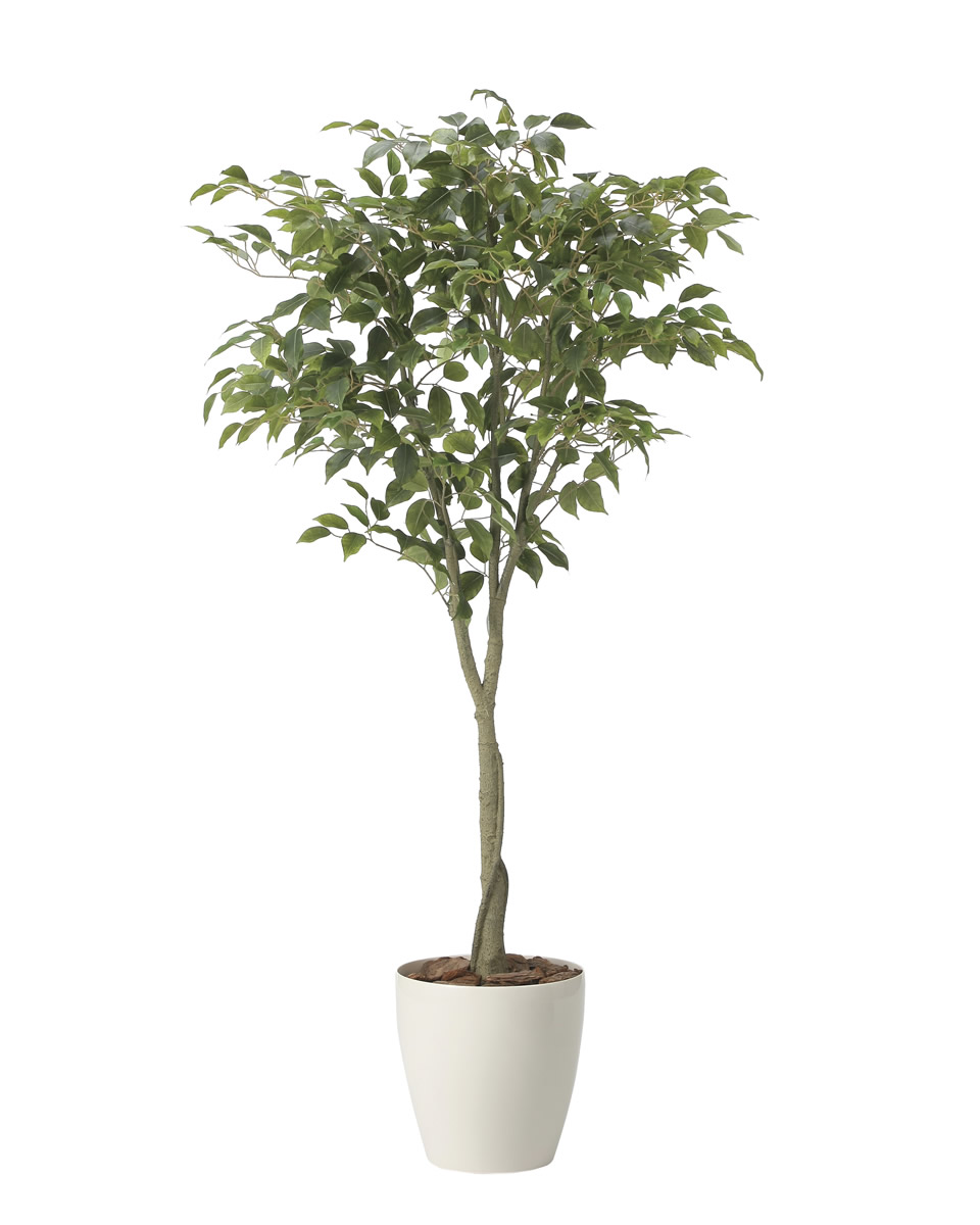 光触媒 光の楽園 フィカスツリー1.65【インテリア フェイクグリーン 人工観葉植物】(2435A290)【ラッピング不可】