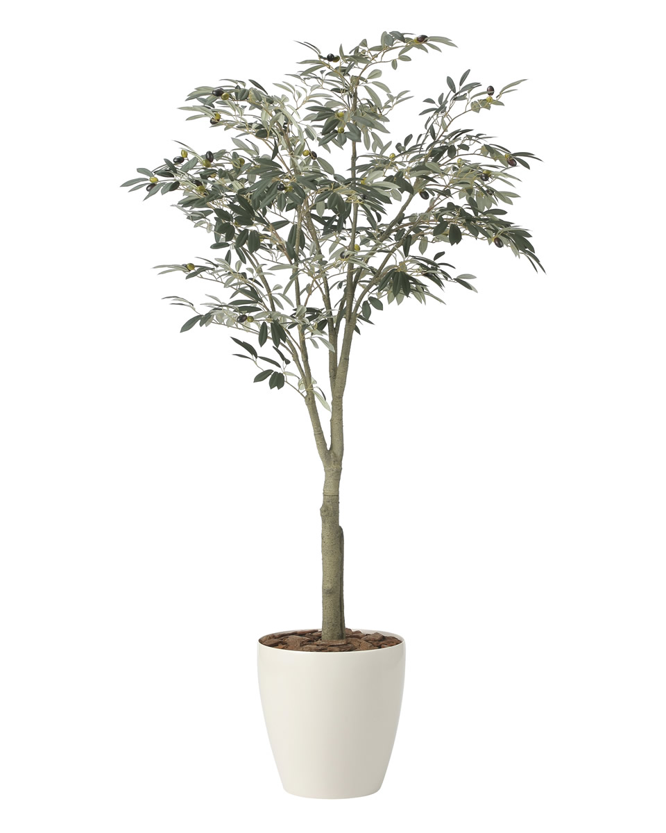 光触媒 光の楽園 オリーブツリー1.85（組立式）【インテリア フェイクグリーン 人工観葉植物】(2437A450)【ラッピング不可】
