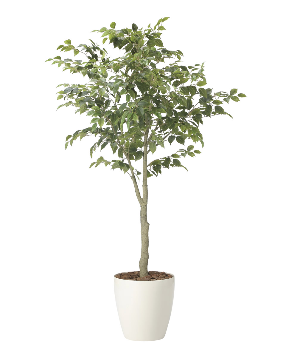 光触媒 光の楽園 フィカスツリー1.85（組立式）【インテリア フェイクグリーン 人工観葉植物】(2438A430)【ラッピング不可】