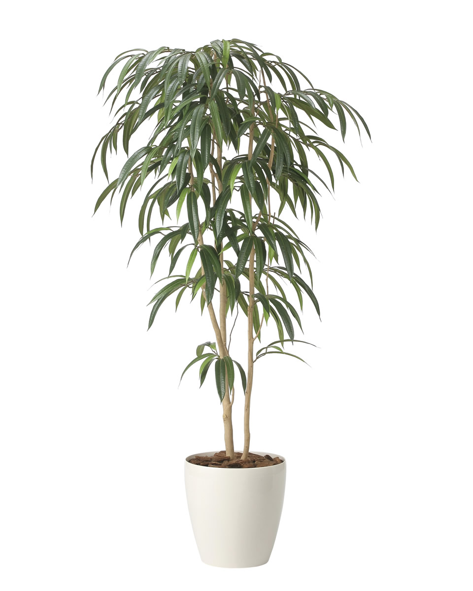 光触媒 光の楽園 ショウナンゴム1.6【インテリア フェイクグリーン 人工観葉植物】(2454A400)【ラッピング不可】