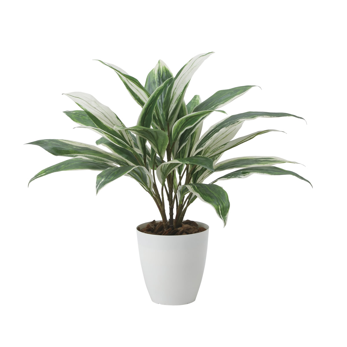 光触媒 光の楽園 ドラセナ【インテリア 人工観葉植物】(2459A50)