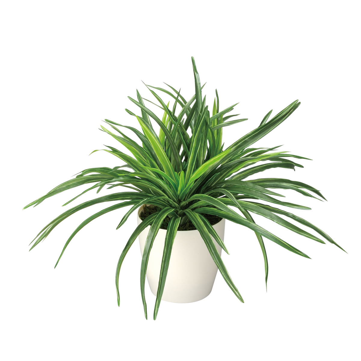 光触媒 光の楽園 ドラセナ【インテリア 人工観葉植物】(245K45)