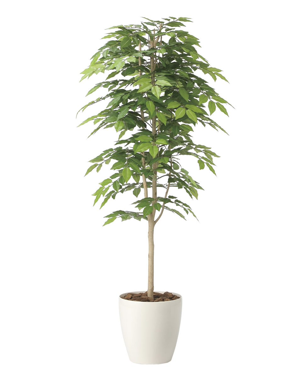 光触媒 光の楽園 ケヤキ1.6【インテリア フェイクグリーン 人工観葉植物】(2465A380)【ラッピング不可】