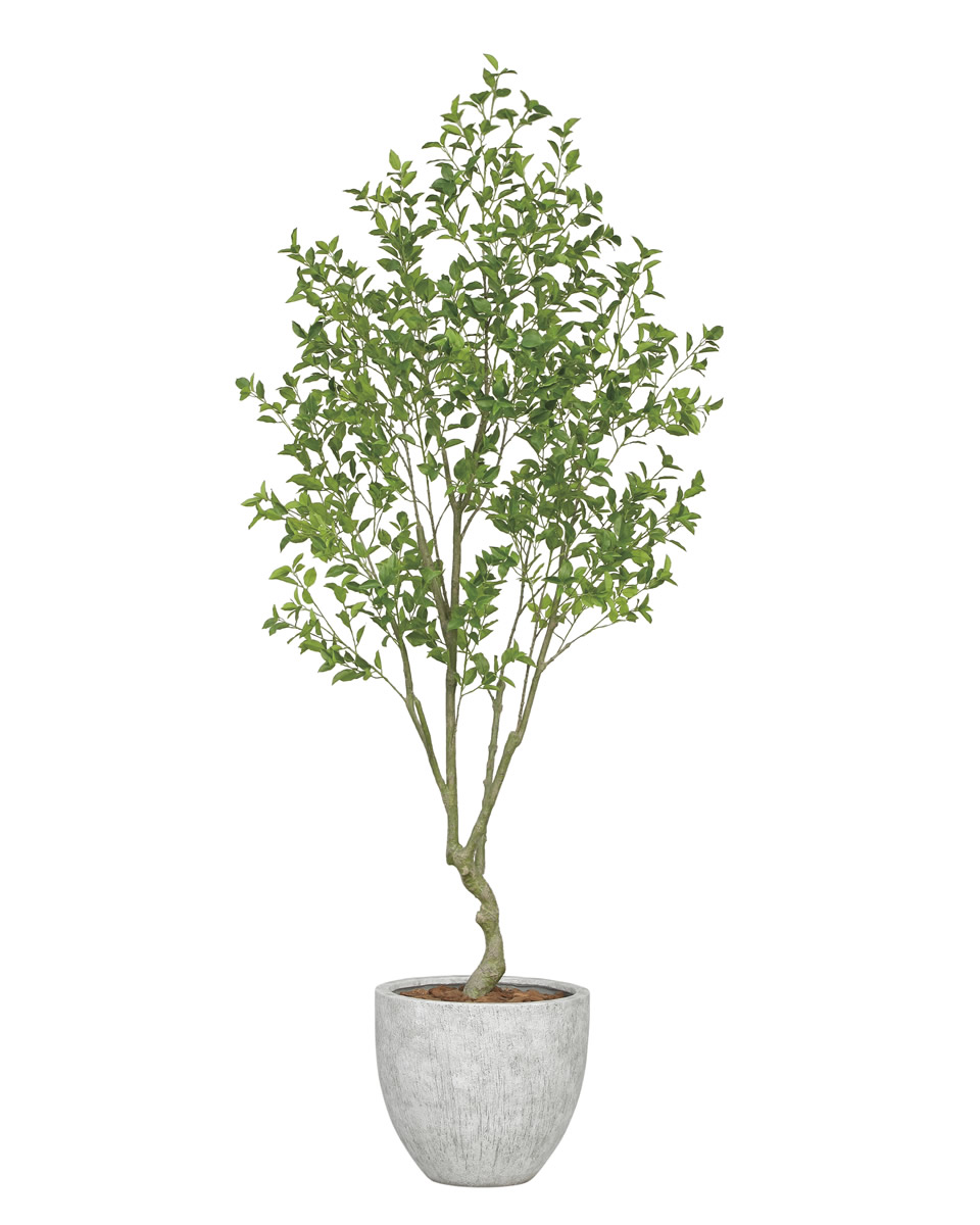 光触媒　人工観葉植物　ウォールグリーン　フェイクグリーン　アセビ175@ 光触媒 人工観葉植物 ウォールグリーン フェイクグリーン アセビ