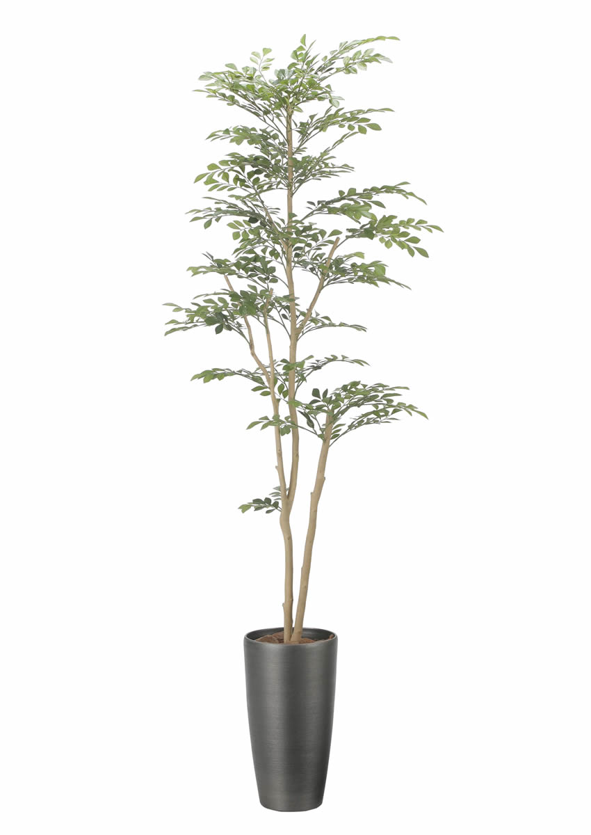 光触媒 光の楽園 スリムトネリコ1.8m【インテリア フェイクグリーン 人工観葉植物】(2509A400)（※ラッピング不可）