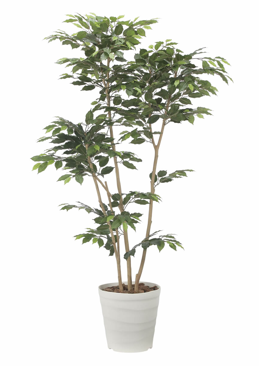 光触媒　人工観葉植物　フェイクグリーン　アーバンベンジャミン1.8 光触媒 光の楽園 デザインベンジャミン1.8m【インテリア フェイク