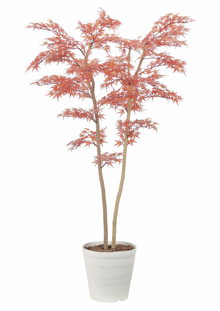 光触媒 光の楽園 モミジ1.8m【インテリア フェイクグリーン 人工観葉植物】(2529A680)（※ラッピング不可）