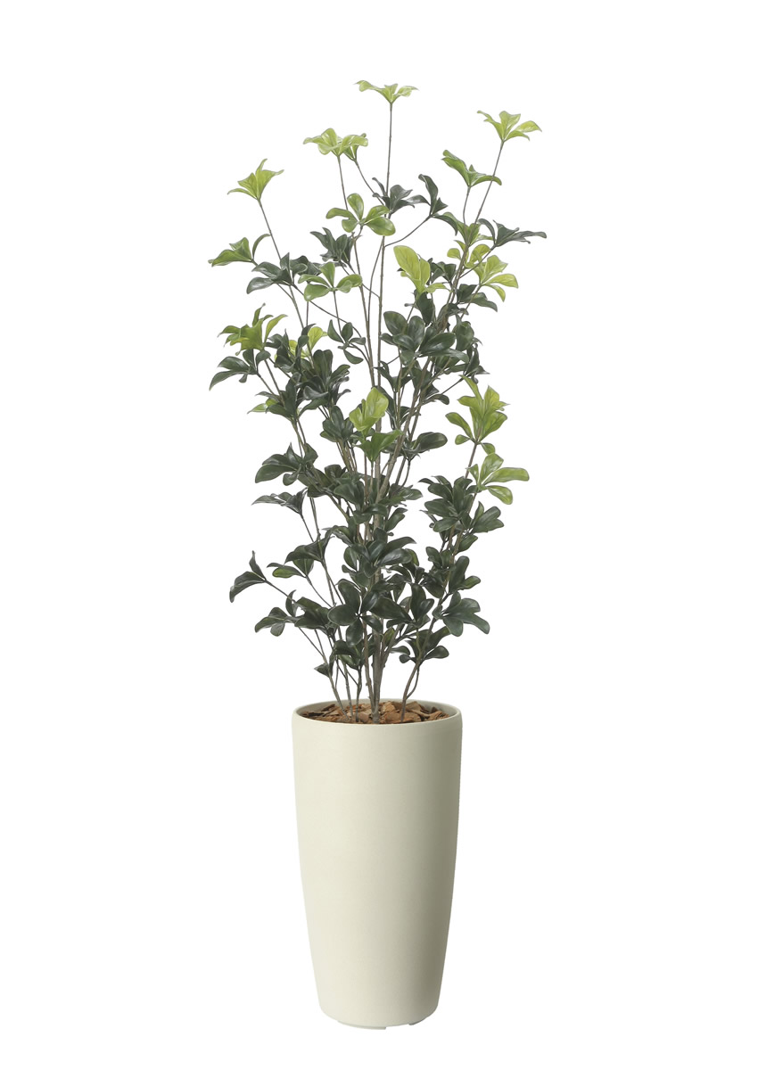 光触媒 光の楽園 スリムシェフレラ1.3（ポリ製）【インテリア フェイクグリーン 人工観葉植物】(2532R280)（※ラッピング不可）