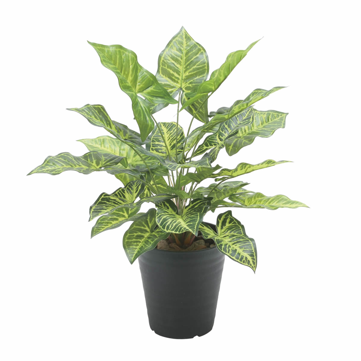 光触媒 光の楽園 フレッシュシンゴニューム【アートフラワー 造花】(2534A60)（※ラッピング不可）