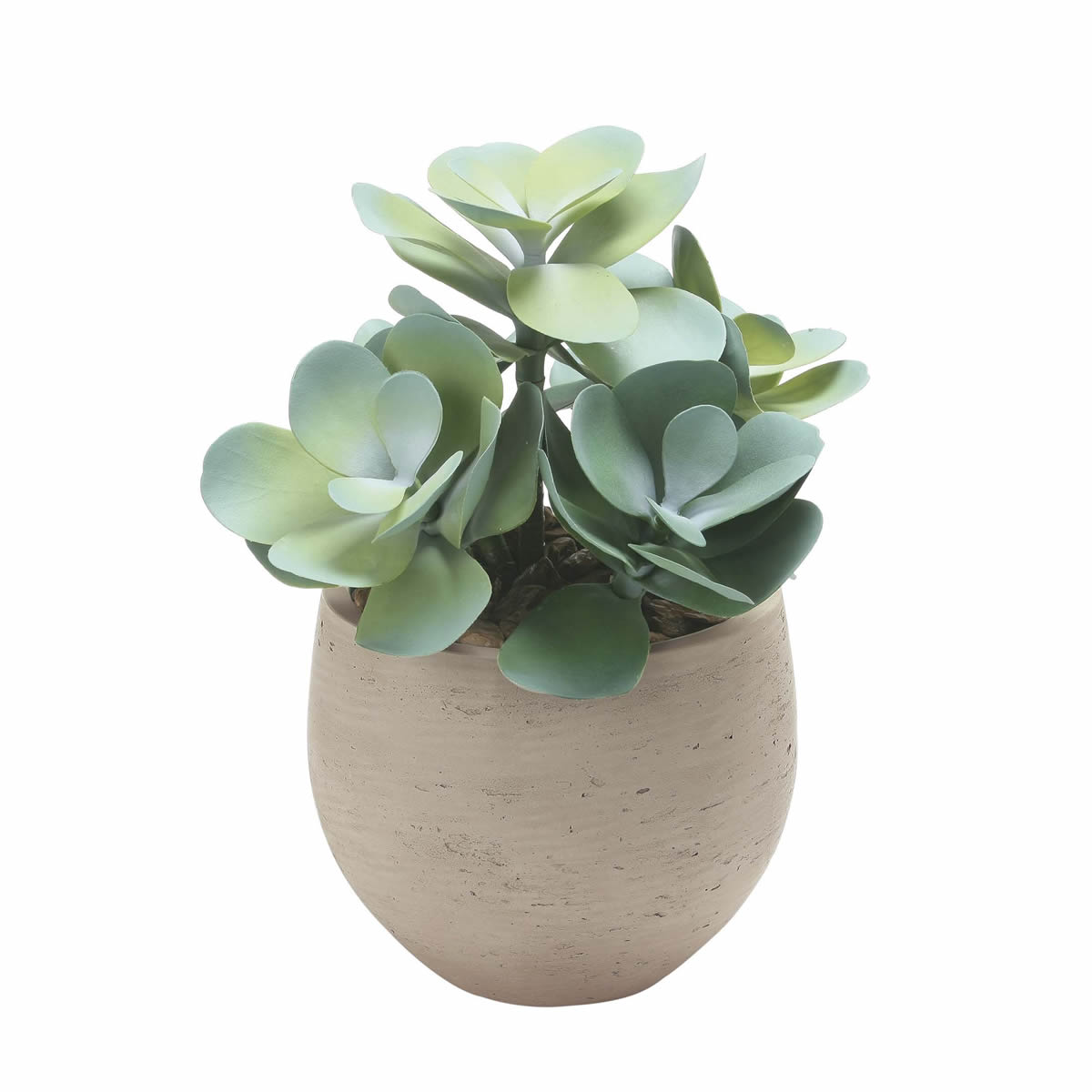 光触媒 光の楽園 ビッグマネーツリー【アートフラワー 造花】(2535A100)（※ラッピング不可）