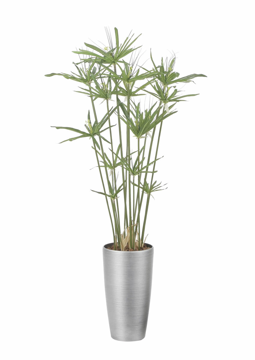 光触媒 光の楽園 スリムパピルス1.35m【インテリア フェイクグリーン 人工観葉植物】(2564A260)（※ラッピング不可）