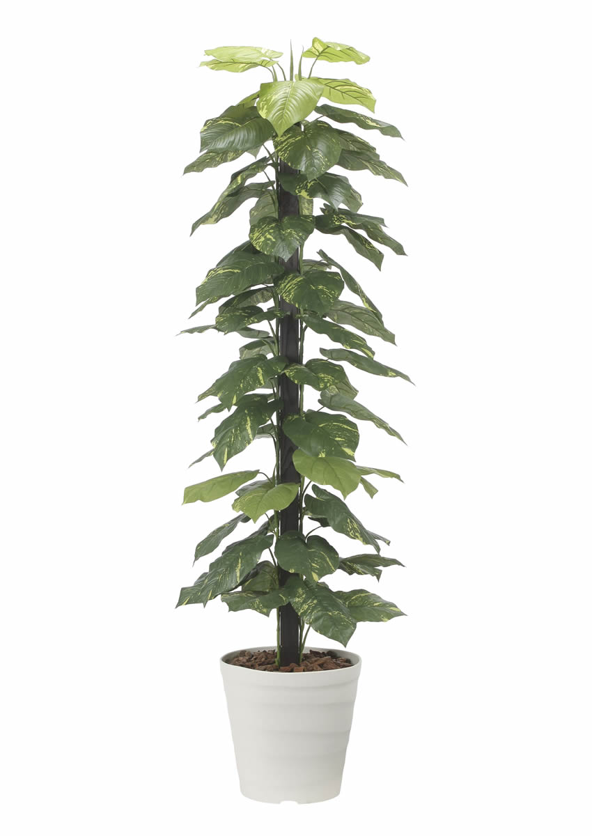 光触媒 光の楽園 ジャイアントポトス1.8m【インテリア フェイクグリーン 人工観葉植物】(2576A350)（※ラッピング不可）