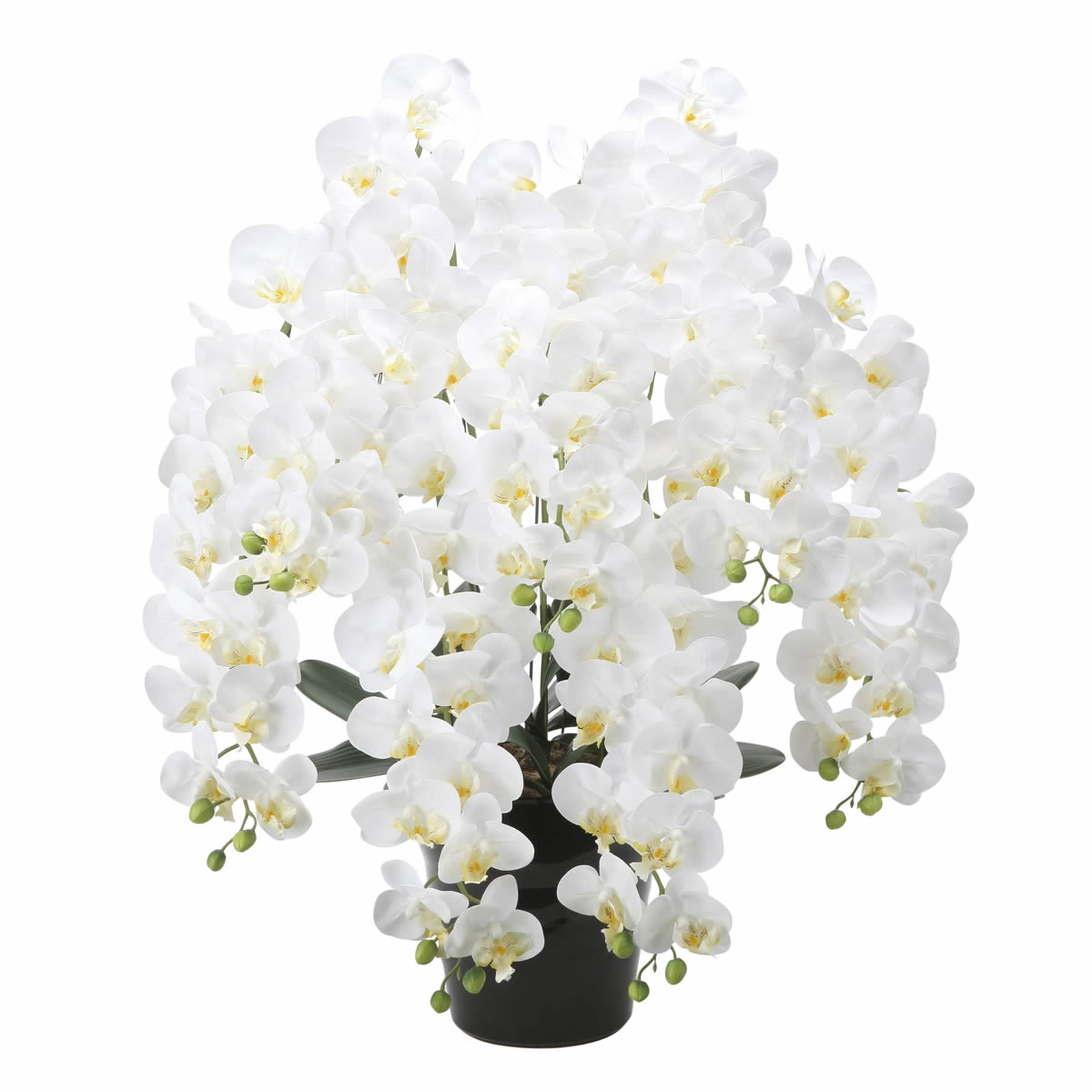 光触媒 光の楽園 フレッシュロング胡蝶蘭7本立ちW【アートフラワー 造花】(2578A500)（※ラッピング不可）