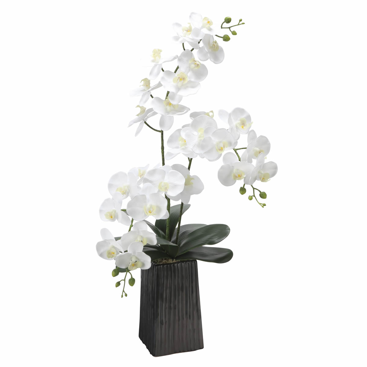 光触媒 光の楽園 デザインフレッシュ胡蝶蘭【アートフラワー 造花】(2579A200)（※ラッピング不可）